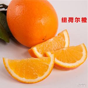 绿尔果汁 价格、型号与选购指南，助您品味新鲜水果零售的健康之选