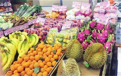 衡阳鲜果邦城市水果仓储中心加盟新机遇 携手共创鲜果零售新篇章
